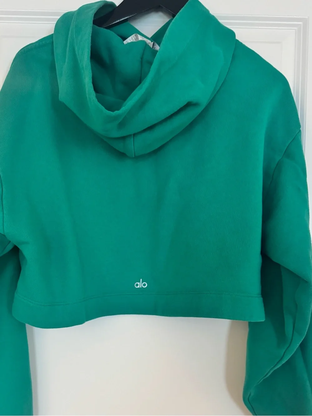 Alo Spruce Green Bae Hoodie/ Preloved/Very Good/ Small